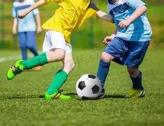 蛇年奇彩解,双色球预测,大揭秘,江苏体彩,江苏体彩网,江苏体彩网官网,体育彩票,体彩大乐透,竞彩足球,体彩公益