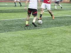 独家揭秘,双色球,期杀出,江苏体彩,江苏体彩网,江苏体彩网官网,体育彩票,体彩大乐透,竞彩足球,体彩公益