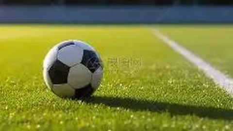 【飞扬秘术】双色球2025139期号码大揭秘：独胆神选12、20、30，赢取大奖不是梦！