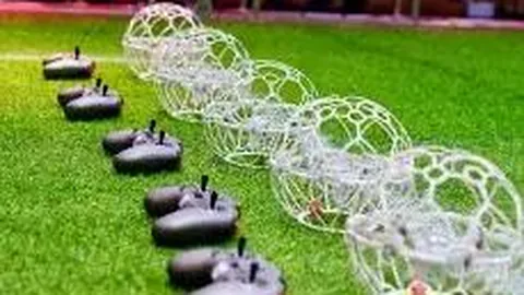 江苏体彩网 资讯 090550 fel